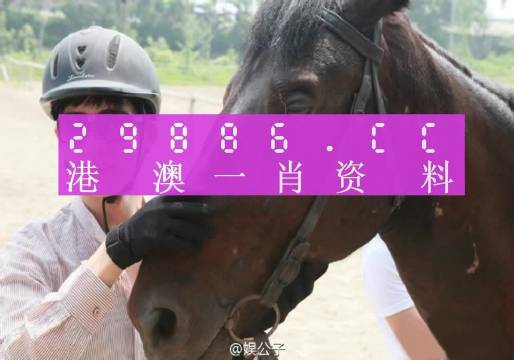 今晚澳门必中一肖一码方面,准确资料解释落实_LE版45.445