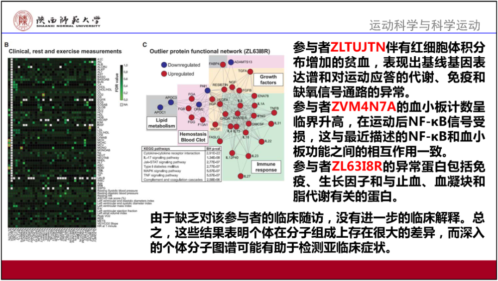 626969澳彩资料大全2020期 - 百度,涵盖了广泛的解释落实方法_Harmony71.806