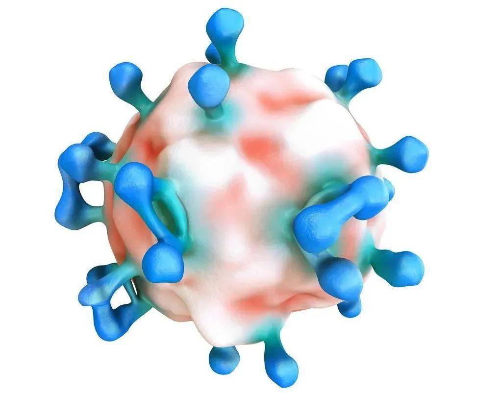 鼻病毒最新研究，理解、预防与治疗策略解析