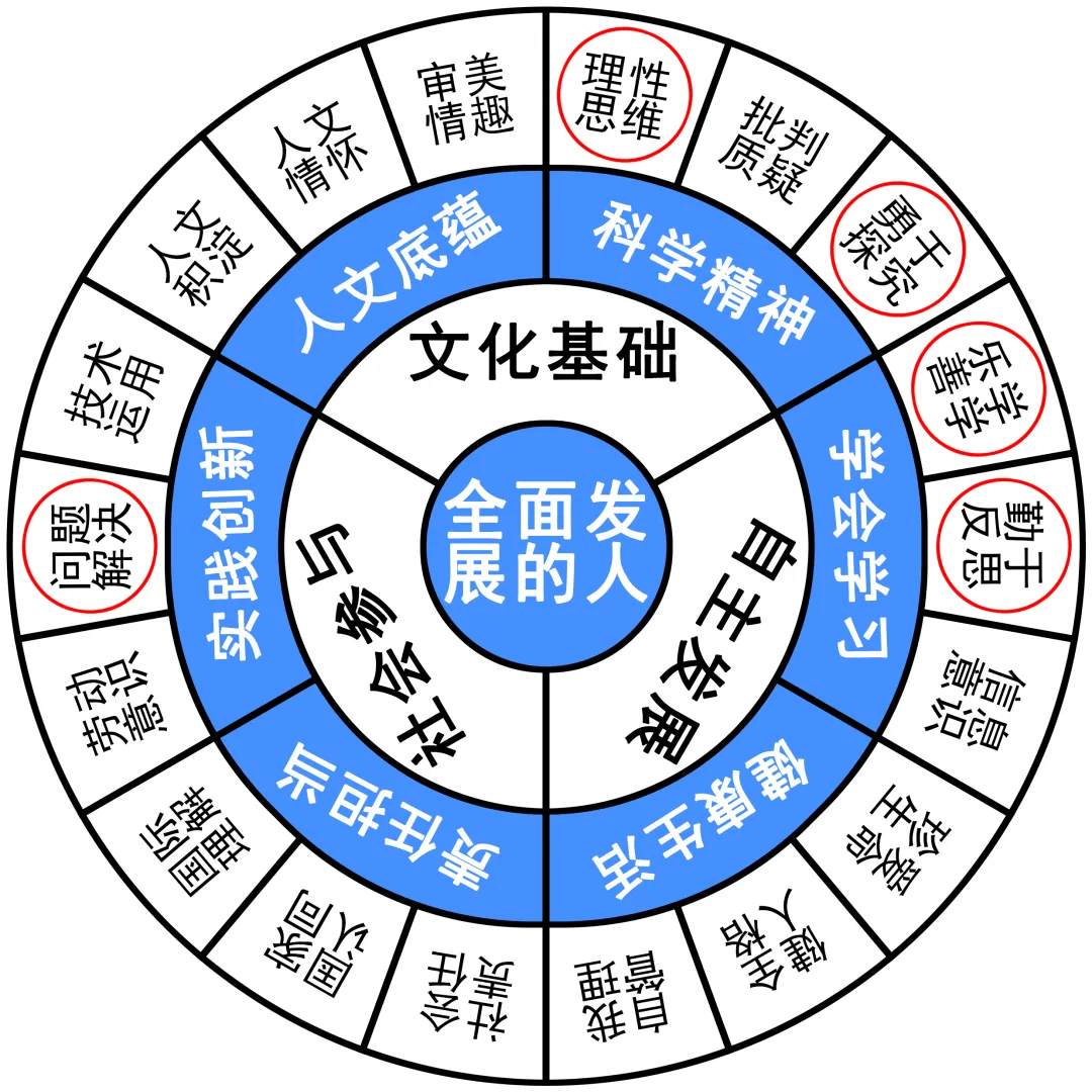 澳门三肖三码三期凤凰,衡量解答解释落实_标配版79.255