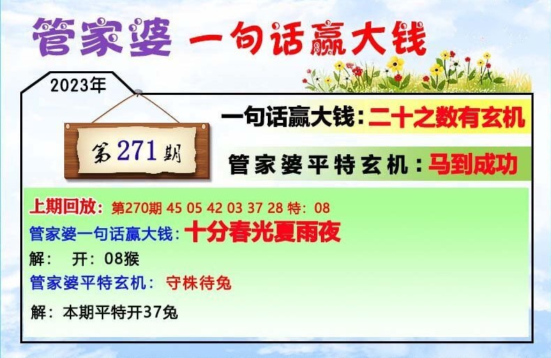 202管家婆一肖一码,专业分析说明_BT99.822