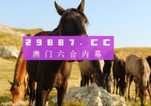 澳门管家婆资料一码一特一,实地验证策略_PalmOS26.331