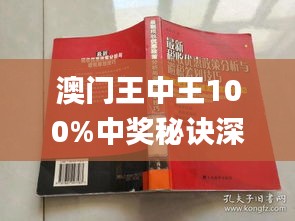 新澳门王中王100%期期中,深度解答解释定义_N版63.977