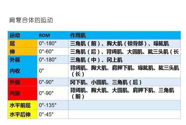 抗磨液压油 第43页